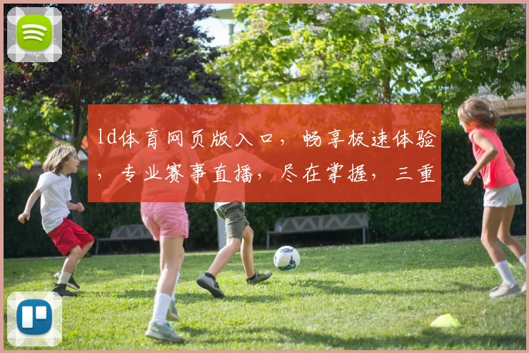 ld体育网页版入口，畅享极速体验，专业赛事直播，尽在掌握，三重福利等你来