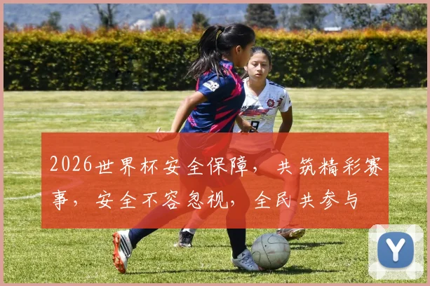 2026世界杯安全保障，共筑精彩赛事，安全不容忽视，全民共参与