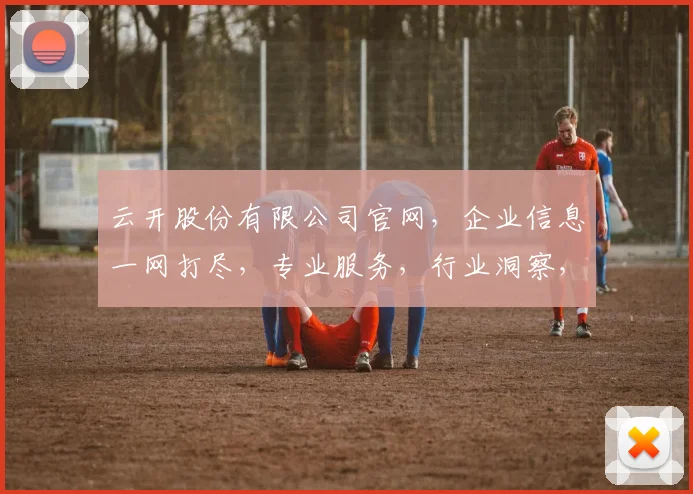 云开股份有限公司官网，企业信息一网打尽，专业服务，行业洞察，投资动态，三重保障，尽在掌握。