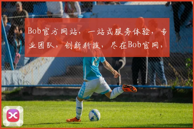 Bob官方网站，一站式服务体验，专业团队，创新科技，尽在Bob官网，不容错过