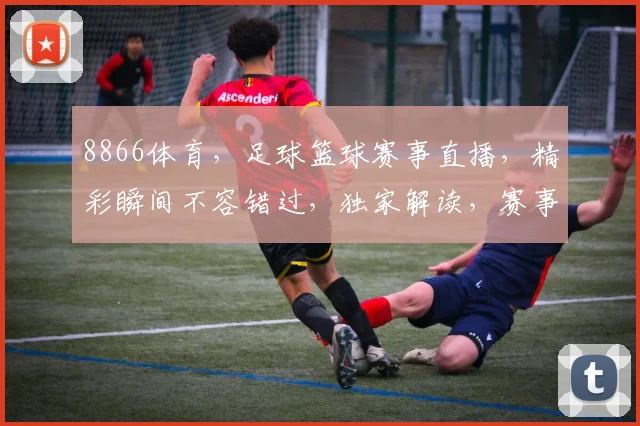 8866体育，足球篮球赛事直播，精彩瞬间不容错过，独家解读，赛事前瞻，尽在掌握